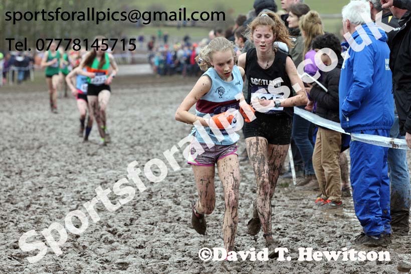 Girls under-15s 2018 British Inter Counties Cross Country Champs., Prestwold Hall, Loughborough. Photo: David T. Hewitson/Sports for All Pics